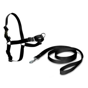 Arnes easy walk mediano negro